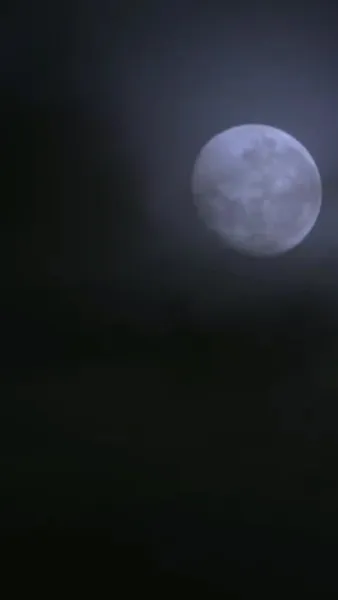 ล่องเรือข้ามชะตา