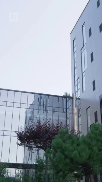 อดีตภรรยาฉันเป็นเจ้าหญิงมาเฟีย