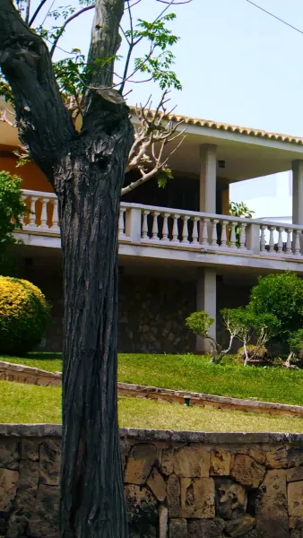 สามีชาวไร่ผู้ไม่ธรรมดา