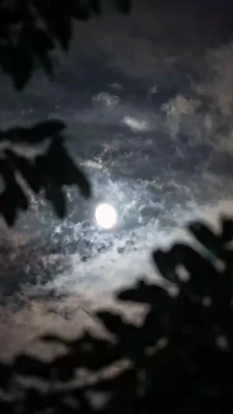 [พากย์ไทย] เด็กหญิงผู้โดดเดี่ยว