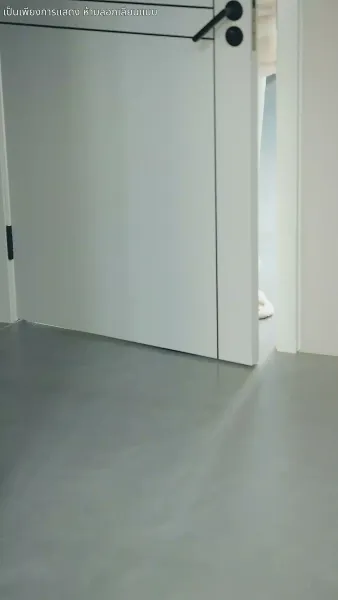 จดทะเบียนรัก สายฟ้าแลบ