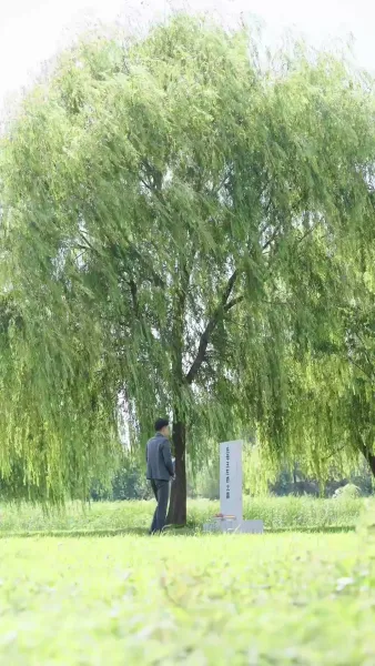 ความหวานที่ฆ่าใจ