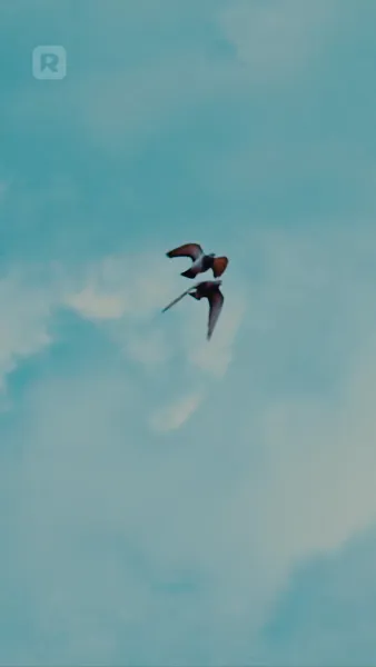 โอ้พระเจ้า ฉันถูกล้อมรอบไปด้วยเจ้าชายทั้งสาม