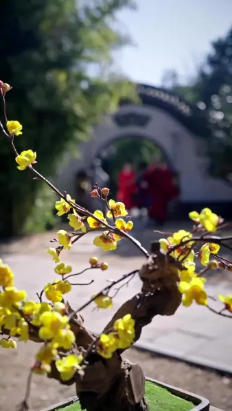 สุดท้ายยังเป็นเจ้า ฮองเฮาที่รัก