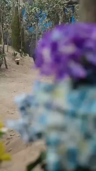 [พากย์เสียง] เกิดใหม่ครานี้ ข้าขอหนีไปให้ไกล