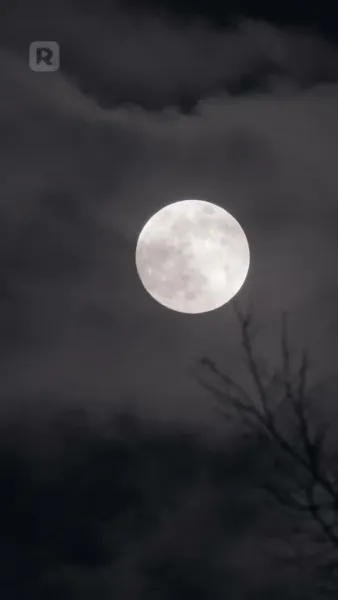 คุณคือพรหมลิขิตของผม