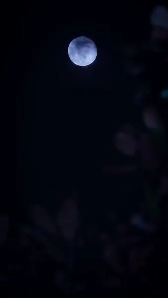 รักมิอาจหลีกเลี่ยง