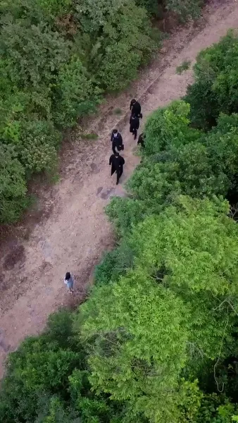 รักมิอาจหลีกเลี่ยง