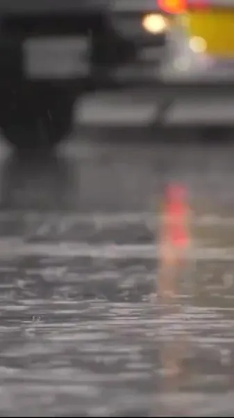 สามีมือโปรของประธานสาว