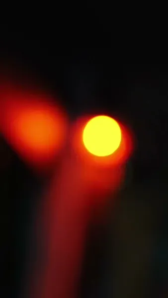 ฉันนี่แหละ คุณหนูตัวดี