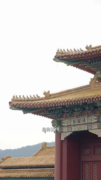 ตำราพลิกชีวิตดอกบัวสีดำ