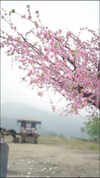 ตำราพลิกชีวิตดอกบัวสีดำ