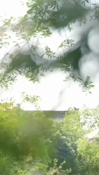 ตำราพลิกชีวิตดอกบัวสีดำ