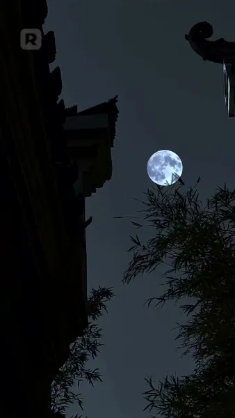 หมอหญิงคืนชีพ แค้นต้องชำระ