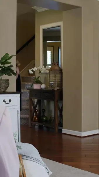 เจ้าหญิงกลับมาแล้ว(พากย์เสียง)