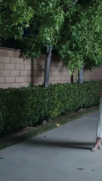 เจ้าหญิงกลับมาแล้ว(พากย์เสียง)