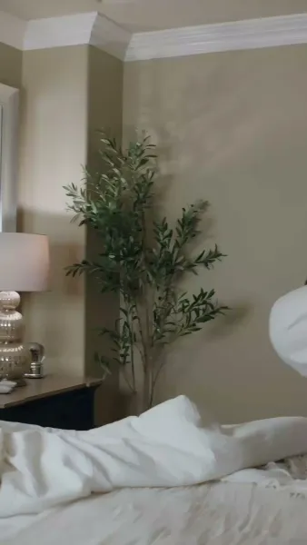 เจ้าหญิงกลับมาแล้ว(พากย์เสียง)