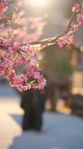 คุณหนูตัวร้ายกับองค์ชายสี่