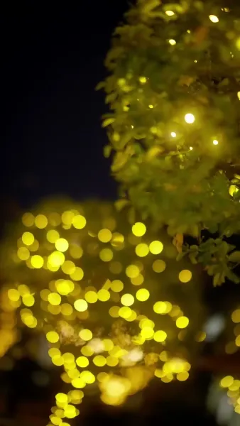 เขาน่ะ...จอมเผด็จการ