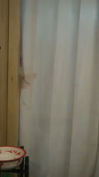 ฉันใส่ใจมากเลยนะ