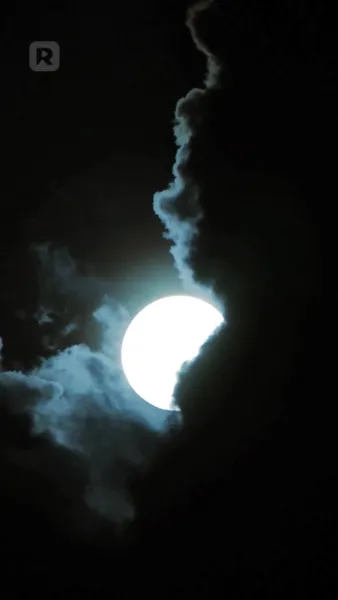 คลั่งรักเจ้าสาวไร้เสียง