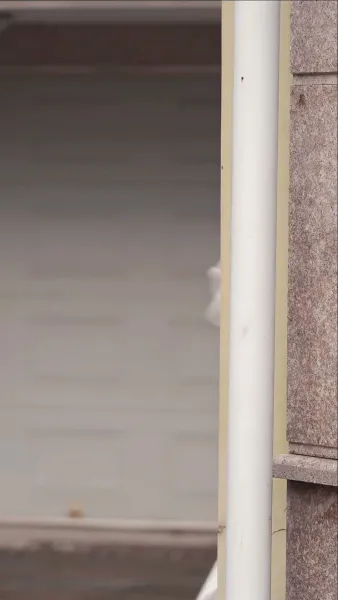 เด็กอัจฉริยะ: คุณพ่อ เจ้าหนี้มาถึงแล้ว