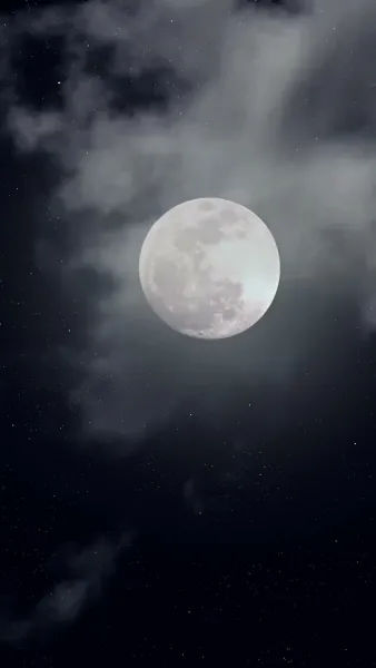 ข้ามภพมารักนายพรานป่า