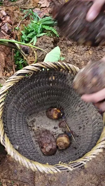 ข้ามภพมารักนายพรานป่า