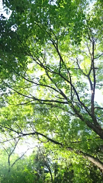 ข้ามภพมารักนายพรานป่า