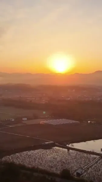 ดอกไม้ที่ผ่านการหลอมรวม