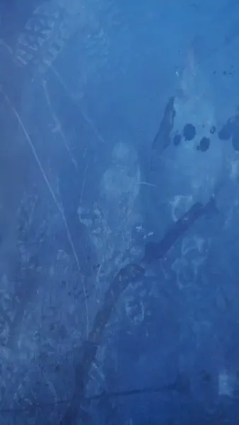 แม่เลี้ยงจะเครซี่