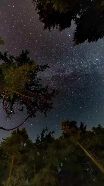 เซียนกระบี่	