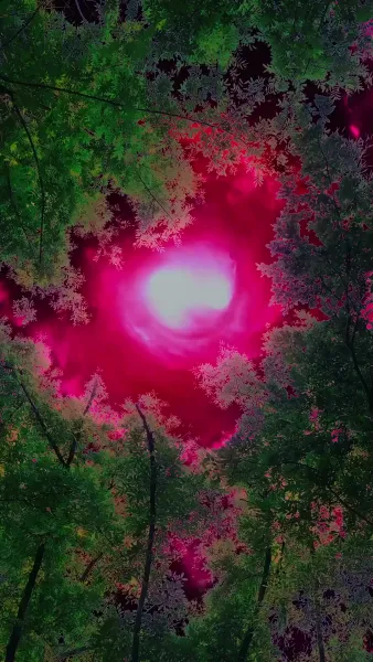 เซียนกระบี่	