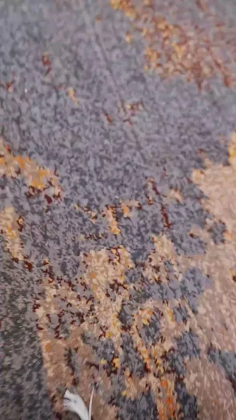 หมอเทวดา