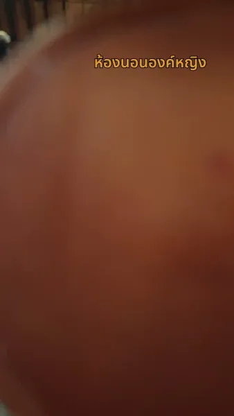 [พากย์ไทย] ชั่วชีวิตนี้ข้าคิดถึงแต่ซิงเฉิน