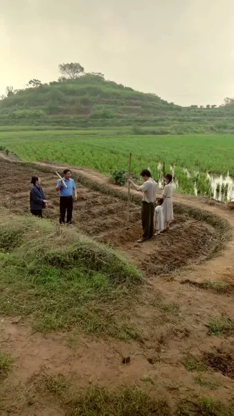 ดาวเคราะห์ร้าย พลิกเป็นทอง