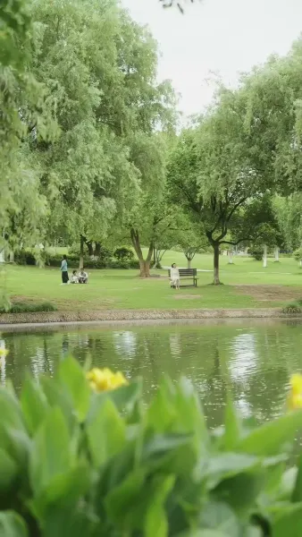 เสียงใจหลังคลอด