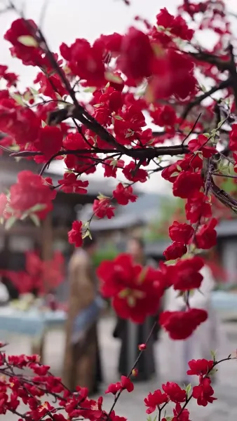 [พากย์เสียง] คุณหนูใหญ่กลับมาเพื่อทวงบัลลังก์คืน