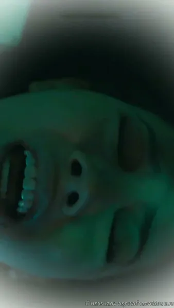 คุณเย่จอมเผด็จการ