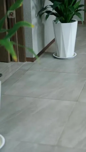 มังกรที่ถูกขังบินขึ้นไปบนท้องฟ้า