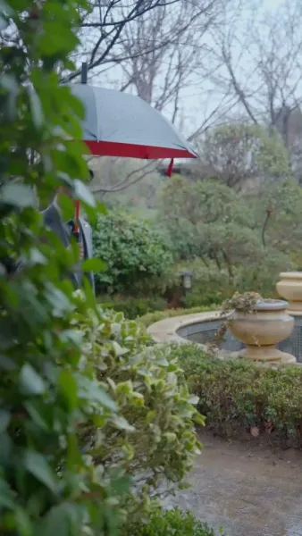 สี่สิบยังแจ๋ว