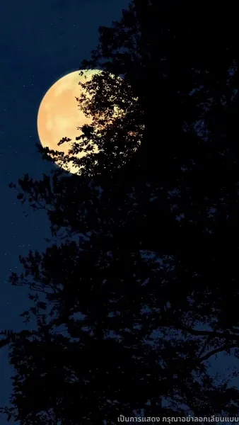 [พากย์ไทย]เกมชิงบัลลังก์