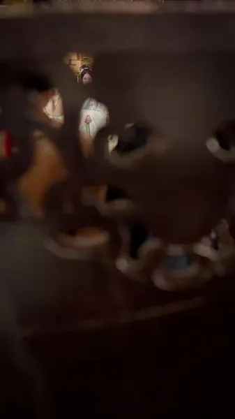 การสลับชะตาจักรพรรดิ