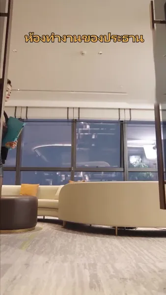 แม่บ้านคือซีอีโอสาว