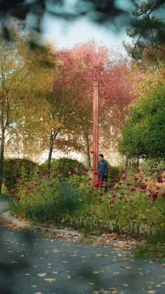 (พากย์)แสงจันทร์ที่ถูกลืม