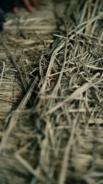 ทะลุมิติ พลิกชะตาให้คุณสามี