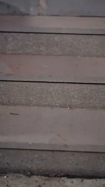 ทะลุมิติมาเป็นมหาวีรบุรุษ