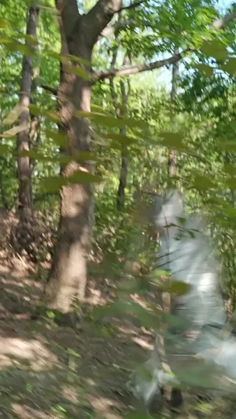 ทะลุมิติมาเป็นมหาวีรบุรุษ