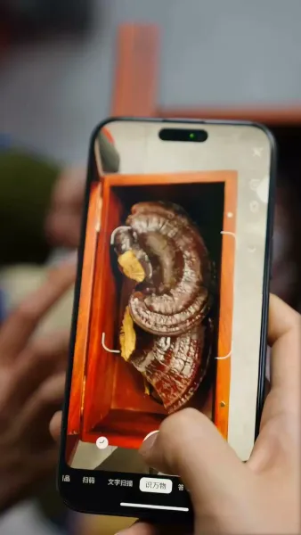 วิวาห์ฟ้าแลบ กับสามีตัวจริงที่ซ่อนอยู่