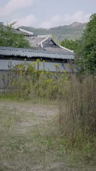 เล่ห์กลแห่งวังหลัง